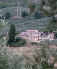 Azienda Agraria Pian della Noce