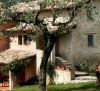 Tenuta San Felice